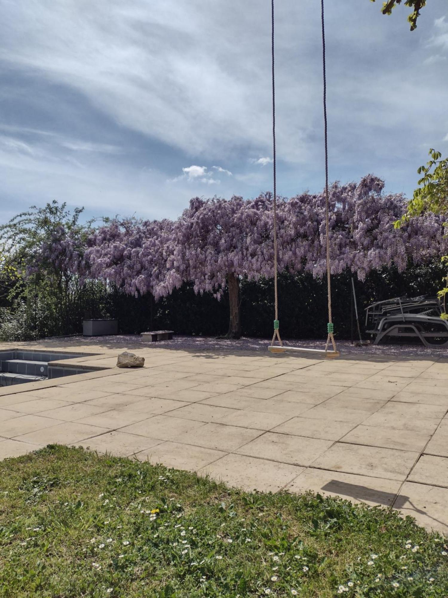 Gite Cocooning Avec Piscine Bouge-Chambalud エクステリア 写真
